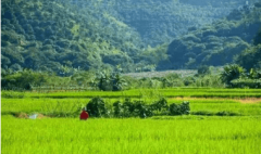 合盛盈翠雅建售楼处德律风(合盛盈翠雅建